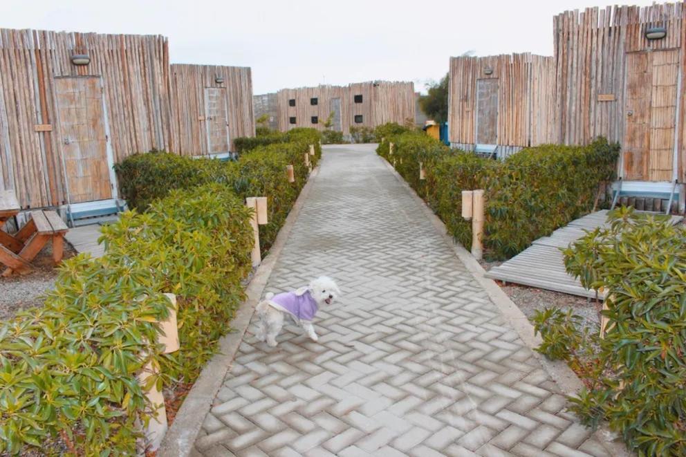 Sole Paracas Exterior foto